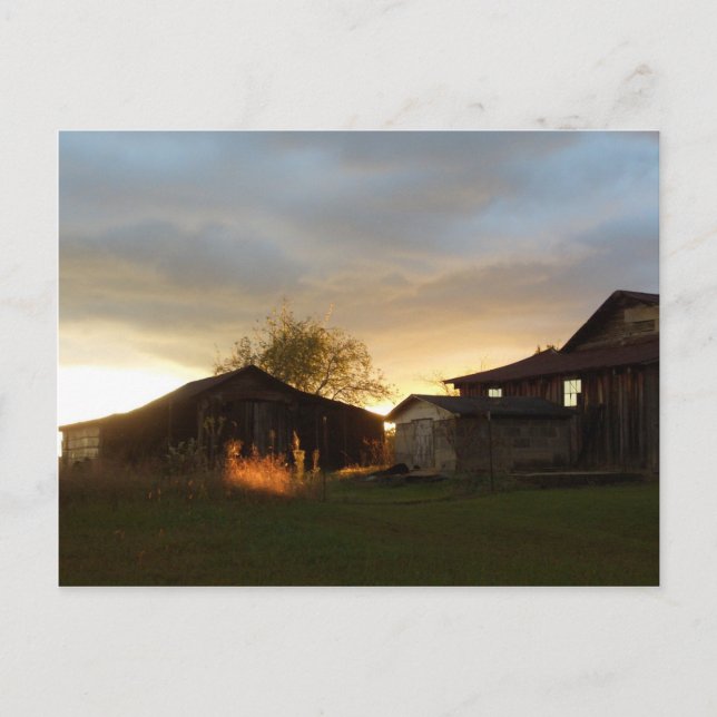 Barns i eftermiddagsljus vykort (Framsida)