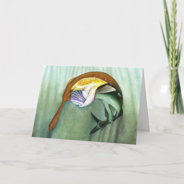 Barns vinnarteckning: paddlefish helgkort (Framsida)