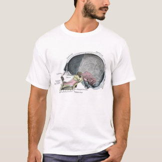 Barnskalle med färg tee shirt