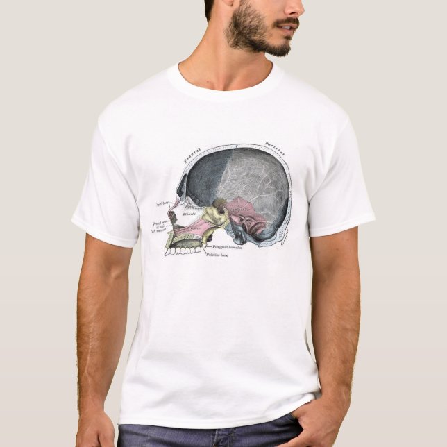 Barnskalle med färg tee shirt (Framsida)