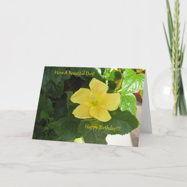 Bärnsten gulnar hibiskusfödelsedagkortet kort (Framsida)
