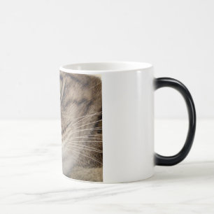 Bärnsten Magisk Mugg