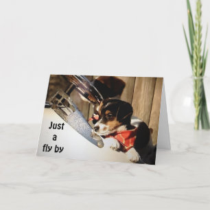 BARNSTORMING RUSSELL TERRIORS SAY LYCKLIG 40:e Kort