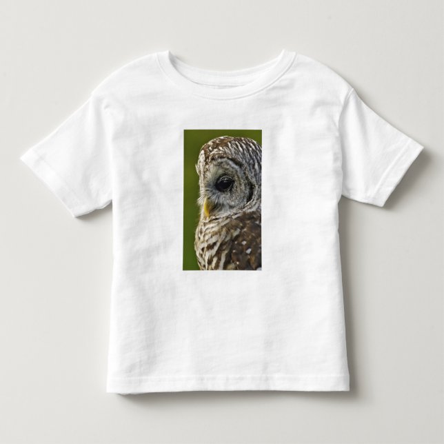 Barnuggla, Strix varia, Michigan T-shirt (Framsida)