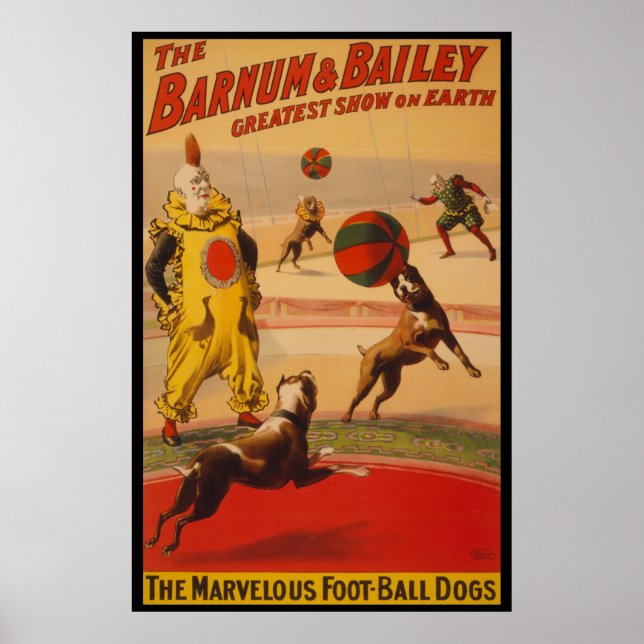 Barnum & Bailey Circus Foot-Boll Hundar Poster (Framsidan)