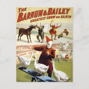 Barnum & Bailey - underbar Performing Geese Vykort