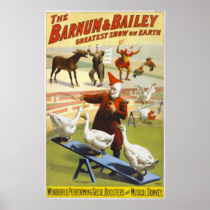 Barnum & borggårdcirkus - Circa 1900 Poster