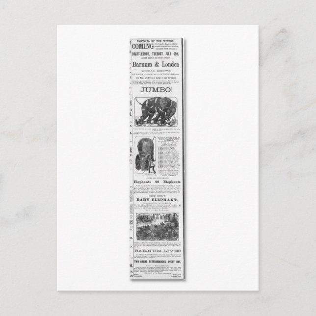 Barnum & London Moral Shows Ad Vykort (Framsida)