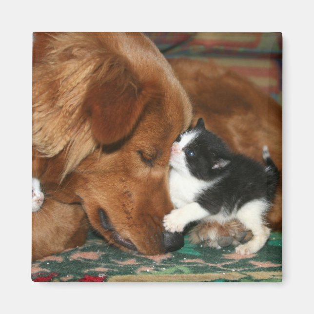 Barnvakten Magnet (Framsidan)