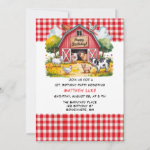 Barnyard Animals Boy 1st. Birthday Party