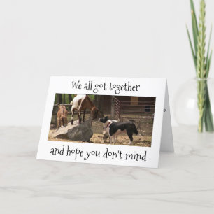 *BARNYARD ANIMALS* PARTY PÅ DIN BIRTHDAY KORT