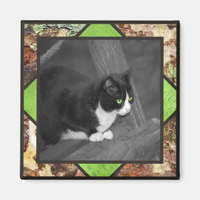 Barnyard Cat Magnet (Framsidan)