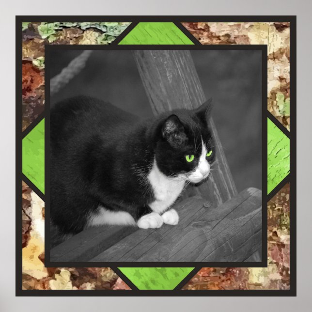 Barnyard Cat Poster (Framsidan)