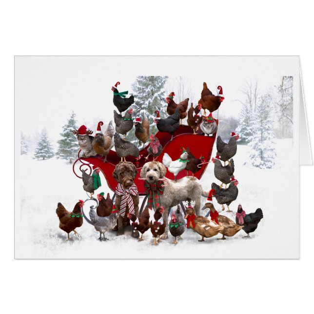 BARNYARD DJUR MED SLEIGH CHRISTMAS-KORT HÄLSNINGSKORT (Framsidan Horizontal)