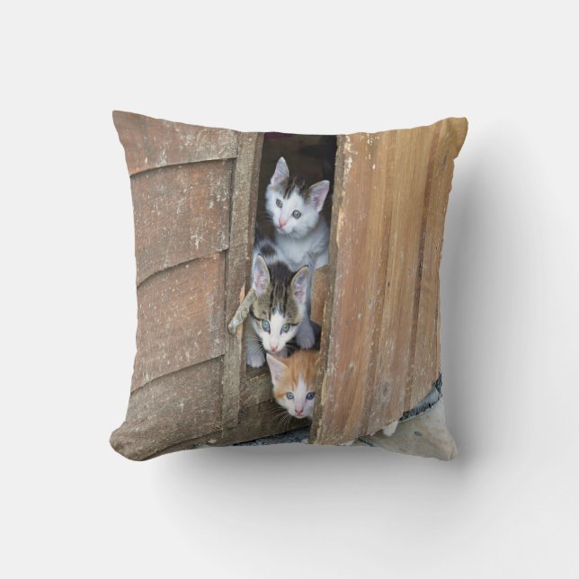 Barnyard Kittens Kudde (Framsida)