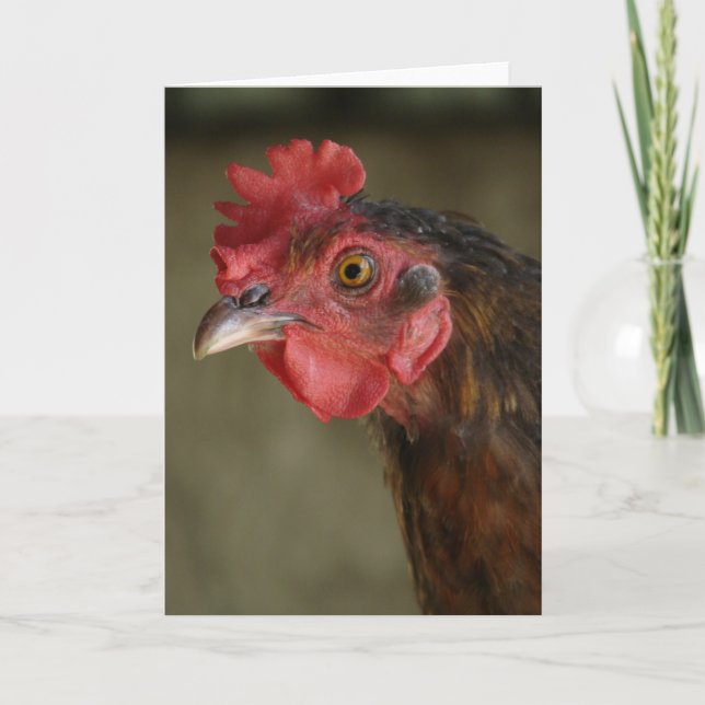 Barnyard Mix Hen Kort (Framsida)