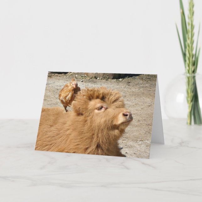 Barnyard-vänner Kort (Framsida)