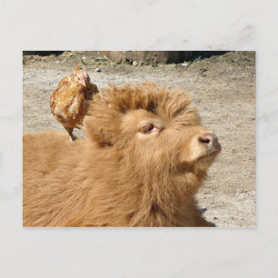 Barnyard-vänner Vykort
