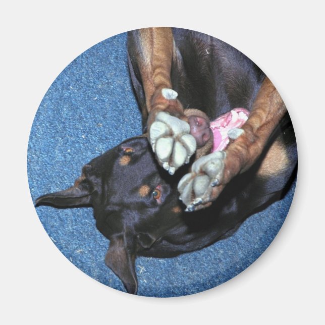 Baron "Jag är Shy" Magnet (Framsidan)