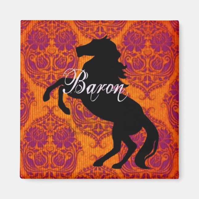 Baron Magnet (Framsidan)