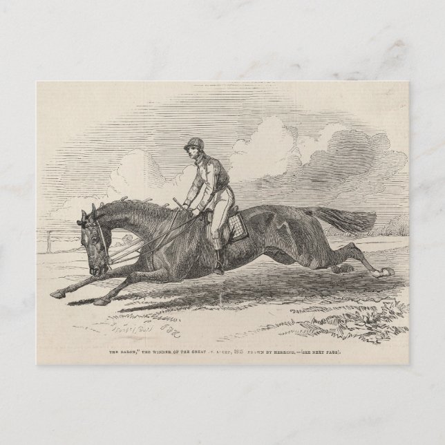 Baron, vinnaren av det Underbara St. Leger Vykort (Framsida)