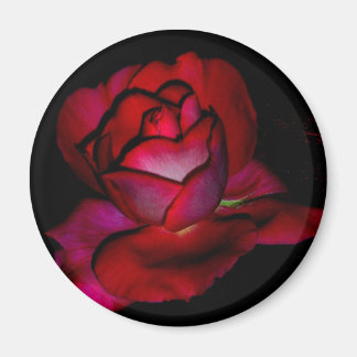 Baroness Rothschild Ro Magnet
