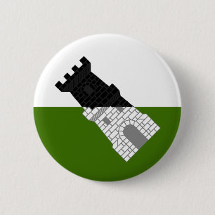 Barony of Settmour Swamp populace Badge Button Knapp