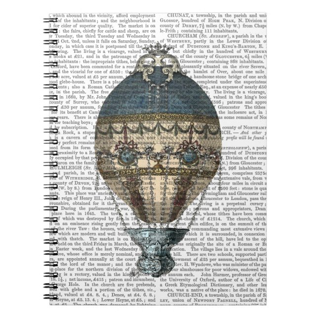 Baroque Fantasy Balloon 2 2 Anteckningsbok Med Spiral (Framsidan)