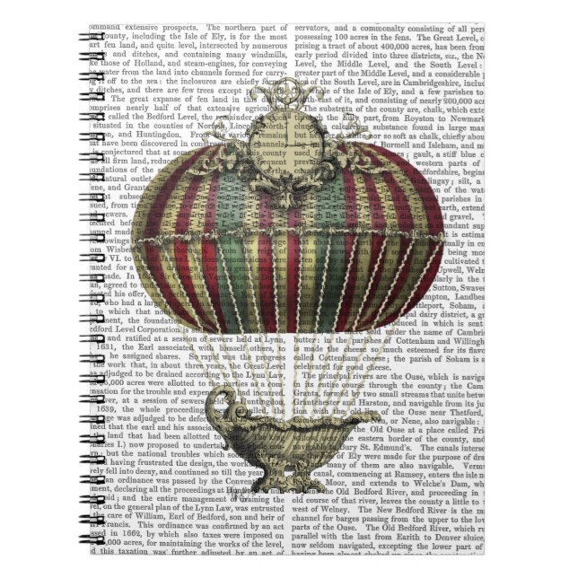Baroque Fantasy Balloon 4 Anteckningsbok (Framsidan)