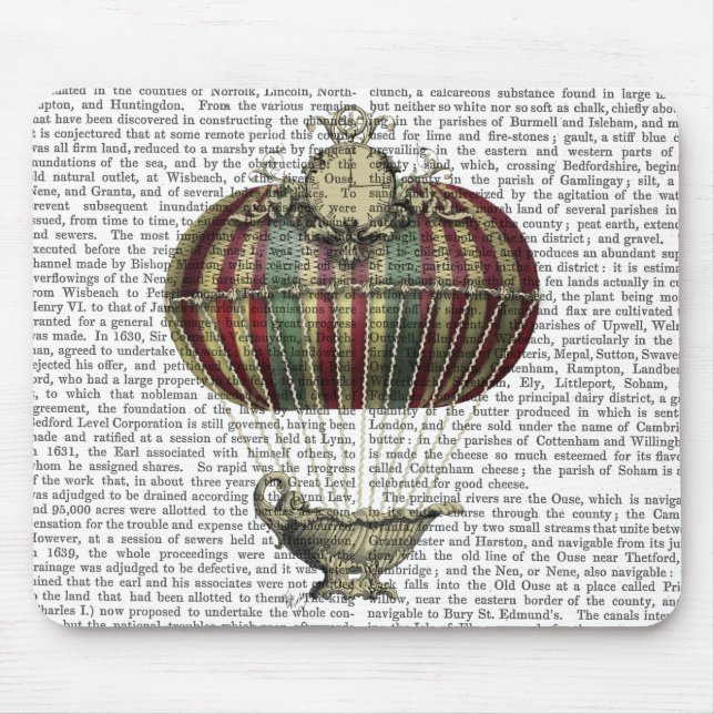 Baroque Fantasy Balloon 4 Musmatta (Framsidan)
