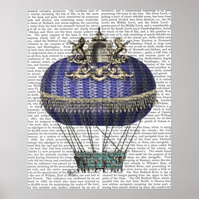 Baroque Fantasy Balloon Poster (Framsidan)