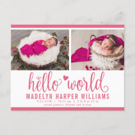 Bärpink Hello World Foto Födelsestadistik Meddelande Vykort