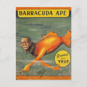 Barracuda Ape Vykort