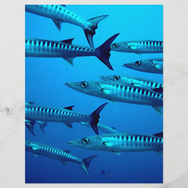 barracuda dyker djupt havsvatten tropisk våg reklamblad (Framsidan)