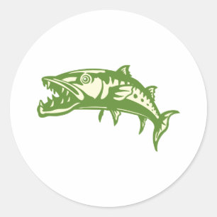 Barracuda Fish #4 Runt Klistermärke