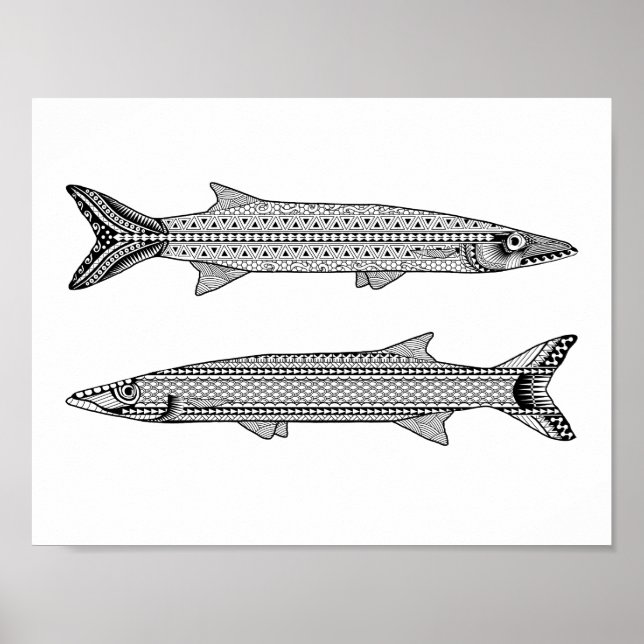 Barracuda Fish Vuxen Coloring Poster (Framsidan)