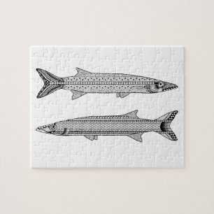 Barracuda Fish Vuxen Coloring Puzzle Pussel