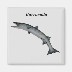 Barracuda Game Fish Magnet