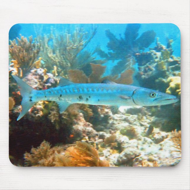 BARRACUDA MOUSEPAD MUSMATTA (Framsidan)
