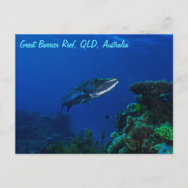 Barracuda på det Underbara Barrier Reef Postcard Vykort