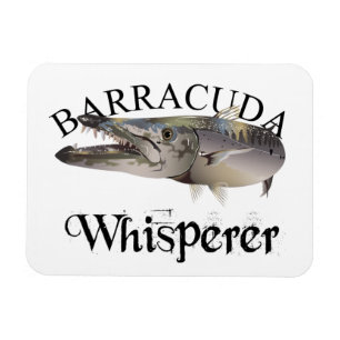 Barracuda Whisperer Light Färgad Magnet