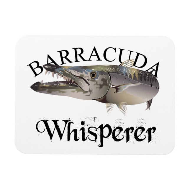 Barracuda Whisperer Light Färgad Magnet (Horisontell)