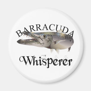 Barracuda Whisperer Light Färgad Magnet