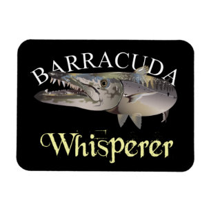 Barracuda Whisperer Mörk Färgad Magnet
