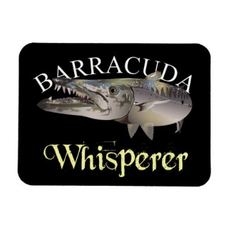 Barracuda Whisperer Mörk Färgad Magnet