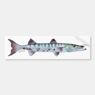 Barracudafiskbildekal Bildekal