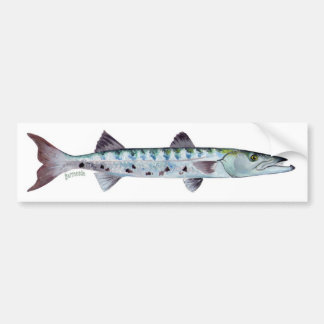 Barracudafiskbildekal Bildekal