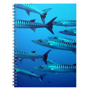 Barracudas Anteckningsbok
