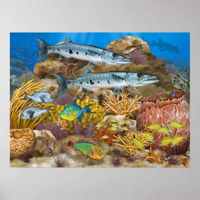 Barracudas over Coral Reef Poster (Framsidan)