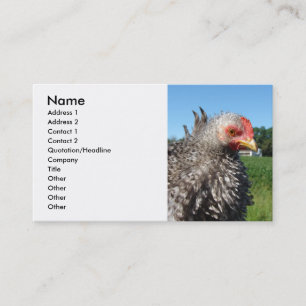 Barred Frizzle Chicken Visitkort